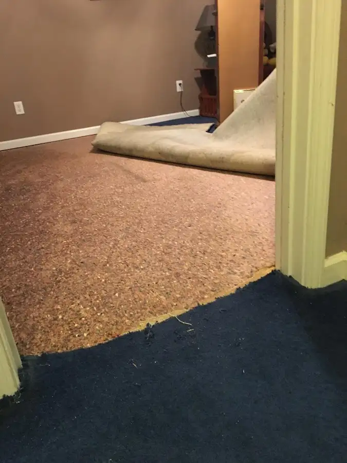Carpet pad removal revealing water damage during Drying & Dehumidification in Green Brook