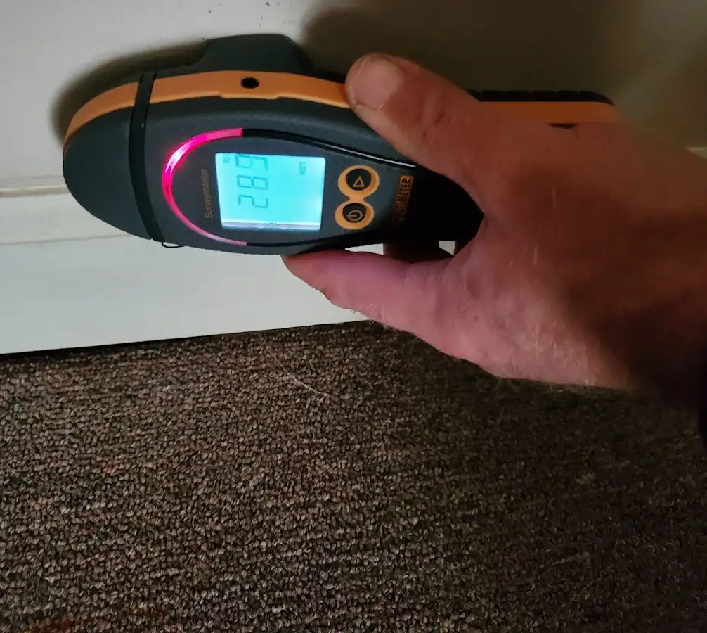 Moisture detection at baseboard during Sewage Cleanup & Sanitation in Green Brook